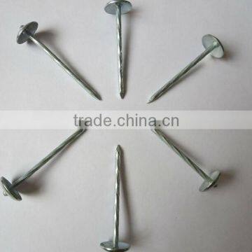 corrugated dome umbrella roofing nails