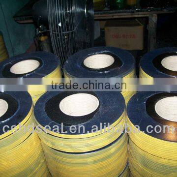 graphite tape/strip/coil for sealing gasket