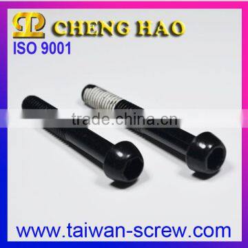 Taiwan Supplier Special Allen Key Screw Heads