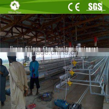 Agriculture chicken cage with manure removal machines