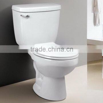 Foor Mounted and Wall Mounted Both Available Washing Down One Piece Toilet