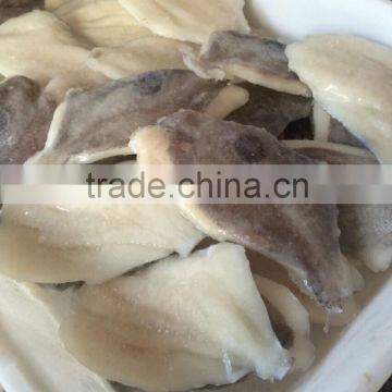 2016 Newly catch fresh high quality John dory fillts from China