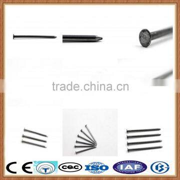Common Roofing Steel Nail photo-3