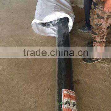 Thailand Market Hot Selling High Quality 3/4" Chicken Net