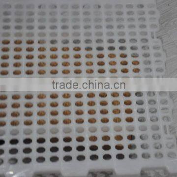 perfect farm equipment plastic slat floor for pig house