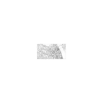 World GIS Mapinfo&ESRI Map/ Vietnam Digital Mapinfo Vector Map Newest Version photo-3