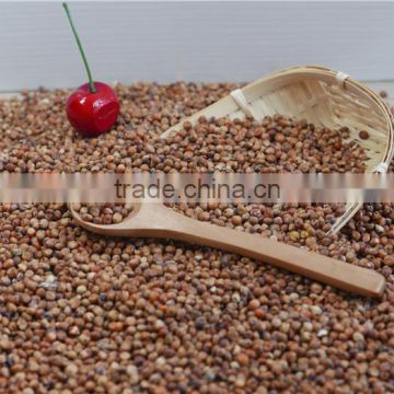 2016 good quality glutinous red sorghum