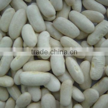 WHITE KIDNEY BEANS,LONG SHAPE,KIDNEY BEANS