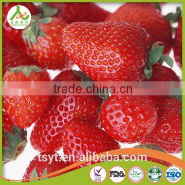 Frozen Strawberry Best Selling Products