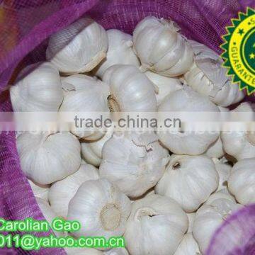 Farmland Fresh Pure White Garlic