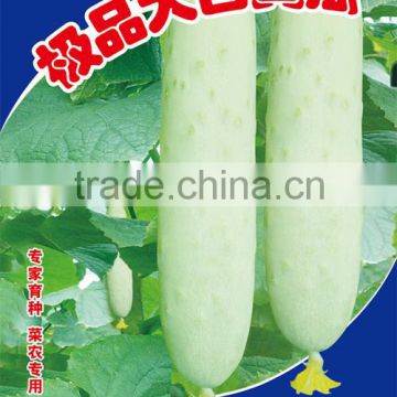 Hot sale hybrid white cucumber seeds for growing-New big white