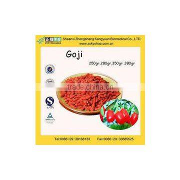 Super Quality Import Goji Berries From GMP Supplier
