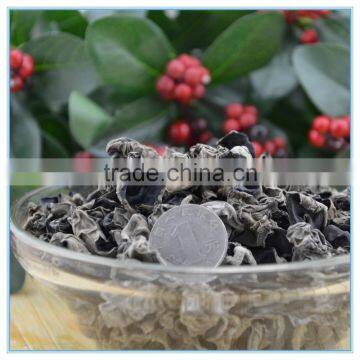 Chinese dry black fungus cholesterol extract wood ear mushroom on wood