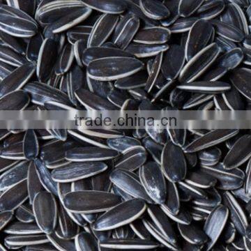 American Type New Crop Black Sunflower Seed 5009 photo-2