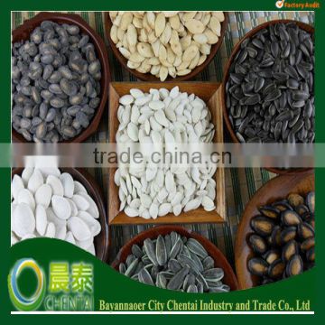 New Crop American Tpye Dried Sunflower Seeds Sellers