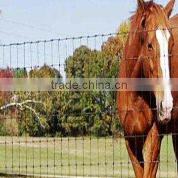 Wire mesh fence for cattle,horse, sheep,poutry and other animal and poutry(Mesh fence-N)