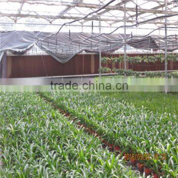 Fully Automated Light Deprivation Greenhouse photo-3