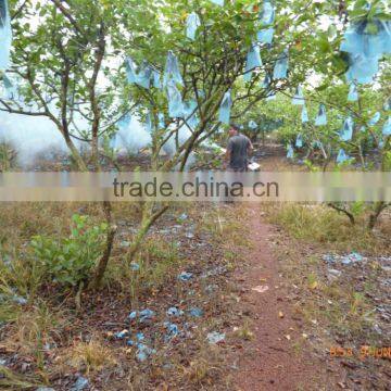 Lair Pest Control Fogger photo-2