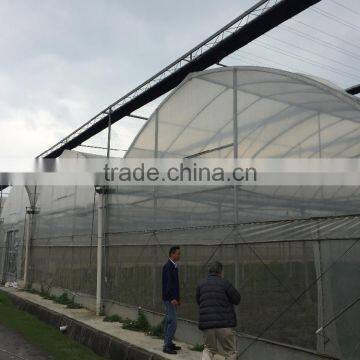 Agicultural Greenhouse