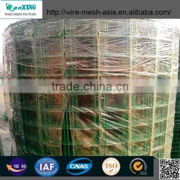 High Quality Welded Wire Mesh photo-2