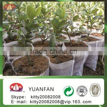 Agriculture Industrial Use and Polypropylene Material Fabric Road Construction Geotextile Fabric photo-3