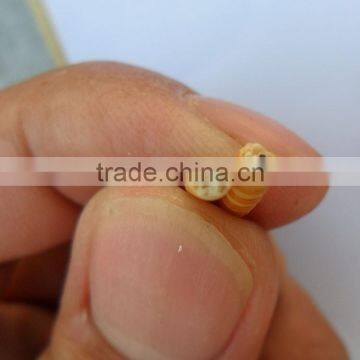 Golden Yellow Stocked Mealworm, Wholesale Wild Bird Food Mealworm photo-5