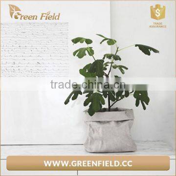 Flower Grow Pots Garden Bag Planter Indoor Kraft Paper Grow Bags photo-3