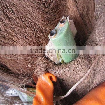 Plastic Artificial King Coconut Tree Green Large Coconut Tree photo-3