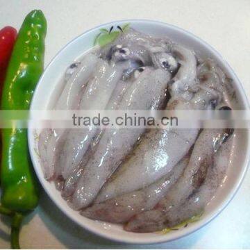 BQF Baby Squid photo-2