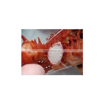 Frozen Cooked King Crab photo-4