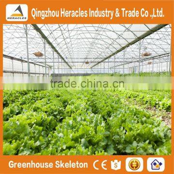 Heracles Trade Assurance Greenhouse for Sale photo-3
