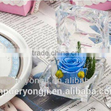 Utility Long Lasting Preserved Flower For Wedding And Valentine's Day Gift photo-4