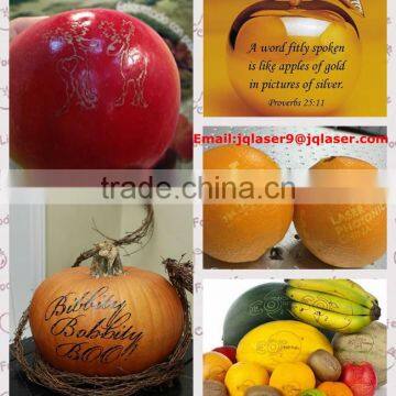 Food and Beverage Service Equipment Laser Marking Machine for South Africa photo-2