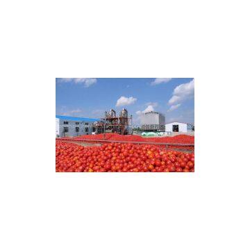 Tomato sauce production line