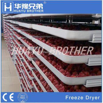 FD-35R350kgs Industrial Freeze Drying Equipment Freeze Dryer Price photo-4