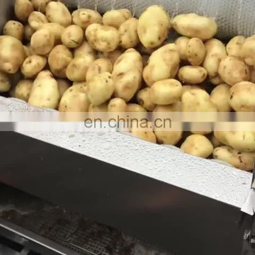 commercial potato ginger vegetable washer carrot peeling and onion washing machine