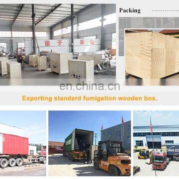 Competitive Price Continuous Deep Frying Machine Potato Chips Frying Machine