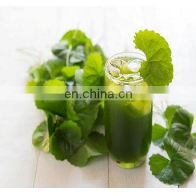 Centella Asiatica From Vietnam