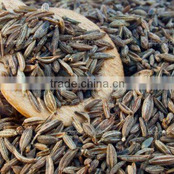 Cumin Seeds photo-3