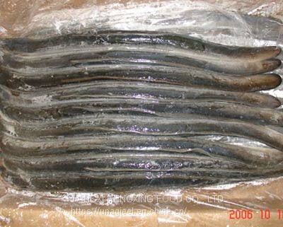 Frozen Gutted Eel (Anguilla Rostrata/Japonica)- Fresh Water River Eel photo-3