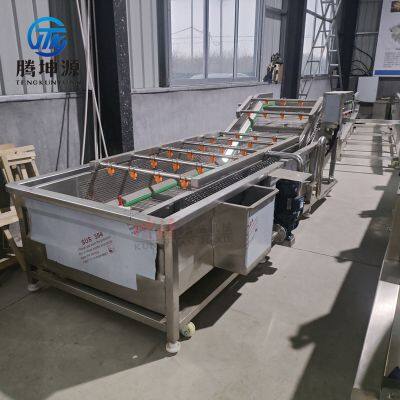 Fruit & Vegetable Bubble Washing Machine Seafood Fruit Vegetable Cleaning Equipment Vegetable Processing Line photo-5
