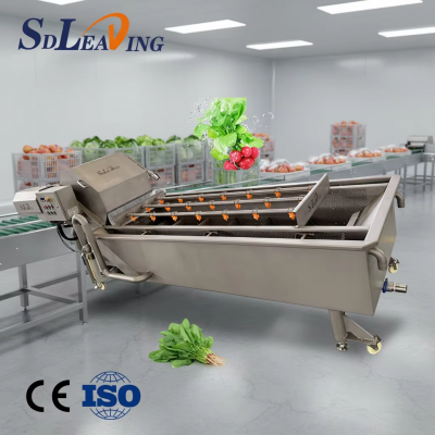 Automatic Fruit and Vegetable Bubble Washing Machine