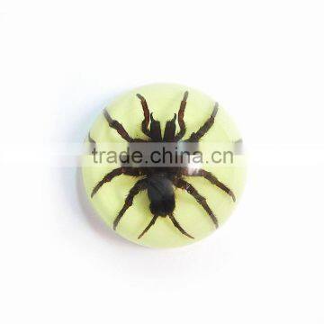 Promotional gifts glow in dark 64mm spider semicircle crystal decoration