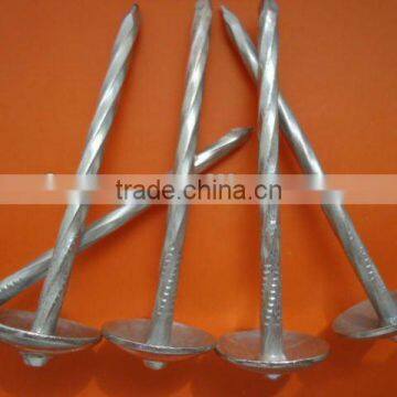 umbrella head roofing nail with twisted shank