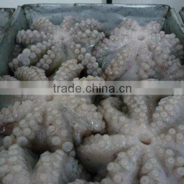 IQF Frozen Octopus ( flower shape clean)