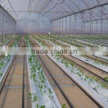 Black and white greenhouse film for vegetable plantation