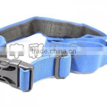 Blue luggage strap