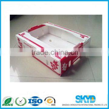 vegetable & fruit plastic box for transport