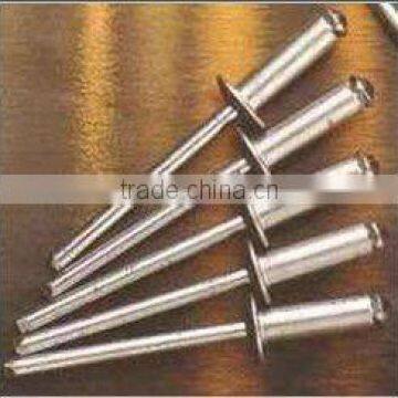 Blind Rivet/Steel Rivet/Aluminium Rivet