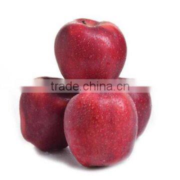 rich protien apple